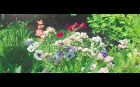 Love means death was broadcast on greek national tv in 1993. What Do Flowers Mean In Korean Dramas Korean Dramaland