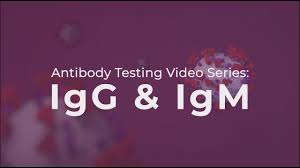 Antibody Testing Igg And Igm Explained Youtube