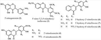 Image result for Trifolium baccarinii