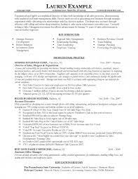 Director of sales resume summary : Sales Director Resume