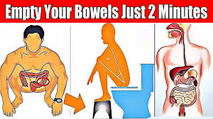 But how does the toilet cater for physiological needs? Empty Your Bowels In Just 2 Minutes Clean Your Colon Improve Your Digestion