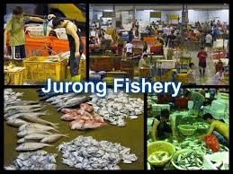 24/7 (most bustling in the early morning from 2am) telephone: Seafood Wholesale At Jurong Fishery Port