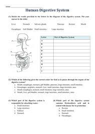 Answer key to digestive system gizmo.pdf free pdf download there could be some typos (or mistakes) below (html to pdf converter made them): T H E D I G E S T I V E S Y S T E M W O R K S H E E T A N S W E R S Zonealarm Results