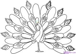 Easy beautiful peacock coloring pages. Drawing A Peacock Peacock Coloring Pages How To Draw A Peacock