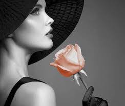 Christopher Schaap's Instagram, Twitter & Facebook