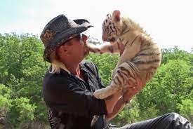 Not all rescued animals can survive being returned to the wild. Tiger King About Failed Murder Plot Involving Florida S Big Cat Rescue Is Now On Netflix Blogs
