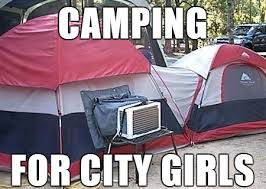 Image Result For Camping Meme Festival Camping Setup Tent Camping Tent