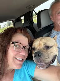 Love for a senior dog