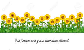 Digital scrap kits, commercial elements, templates, overlays, papers, psp scripts, clipart, 3d poser, digital painted collections, cluster frames, card making, backgrounds, exclusive products and much more! Sunflowers And Grass Decoration Element Isolated On Transparent Royalty Free Cliparts Vectors And Stock Illustration Image 116469249