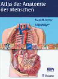 Atlas Der Anatomie Des Menschen