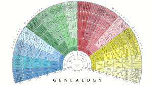 create a free genealogy fan chart with treeseek com