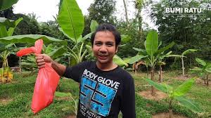 Cara paling mudah tanam daun sup berbanding menggunakan biji benih. Cara Bersihkan Dan Tanam Uri Youtube