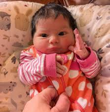 First to guess the final score of the Bills/Lions game before the half get  2 FREE orders of Joeboo Eats homemade Chicken Tenders this weekend!!