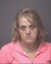 Skyline Drug Task Force Arrests Couple