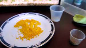 What To Feed Guppy Fry As Requested Youtube