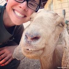 Animals of Farm Sanctuary — Happy Halloween