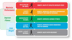 understanding the role our heart rate plays during exercise