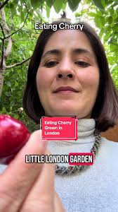 What Does The Cherry Look Like in Girl Garden