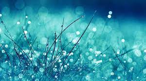 Free download high quality wallpapers advanced search filters. Bright Desktop Wallpapers Wallpaper Cave