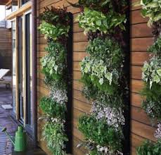Screen Shot 2015 03 26 At 2 09 10 Pm Vertical Garden Large Vertical Garden Vertical Herb Gardens