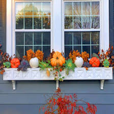 Fall Window Box Ideas