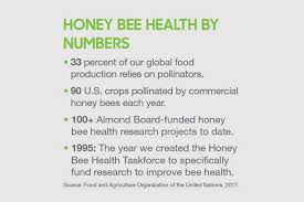 Honey Bee Health A Mutually Beneficial Relationship
