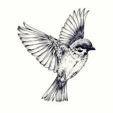 Birds In Flight Tattoo Meaning 11 Great Sparrow Bird Tattoo Designs Sparrow Tattoo Design Sparrow Tattoo Birds Tattoo