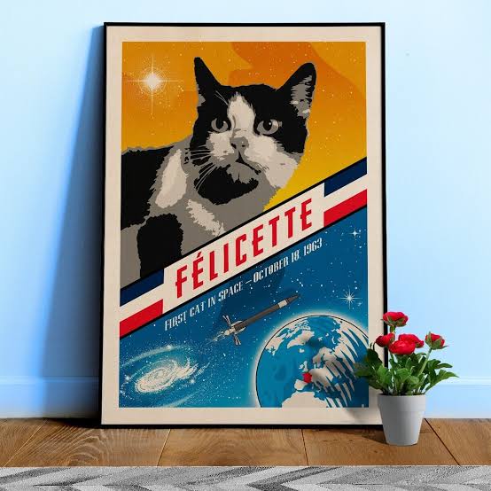 https://encrypted-tbn0.gstatic.com/images?q=tbn:ANd9GcT2RhLEvHy5J-TGJg_tyICz1wgEj_gCZrbQyNOdk0hsp4JtuA-QnN116WM&s=10