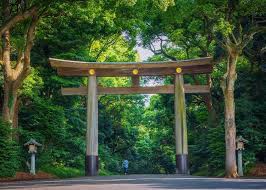 Gambar flora dan fauna endemik indonesia beserta ciri dan penjelasannya. 3 000 Jenis Flora Dan Fauna Hidup Mengitari Hutan Meiji Jingu Live Japan Jepang Perjalanan Dan Pariwisata Pemandu