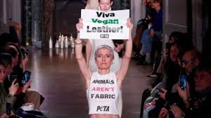 Image result for peta protests