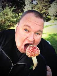 US movie studios sue Megaupload, Dotcom