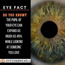 Eyefact Eyevision Pupil Healthyeyes Eyetrivia Eye Facts Eye Care Eye Care Center
