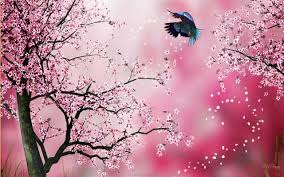 Only the best hd background pictures. Pink Scenery Wallpapers Top Free Pink Scenery Backgrounds Wallpaperaccess