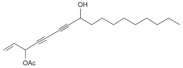Image result for Cussonia zimmermannii