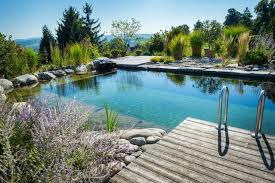 Pin On Natural Pools