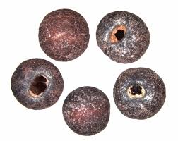 Image result for Galium scabrellum