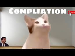 The perfect popcat animated gif for your conversation. Pop Cat Meme Compliation Tikla Izle