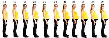 The first day of your lmp counts as the first day of your pregnancy. How Far Along Am I In My Pregnancy Your Week By Week Pregnancy Timeline Wehavekids