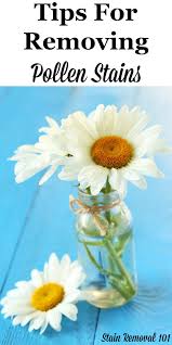 Or, try using scotch tape to remove the pollen while dry. Tips For How To Remove Pollen Stains