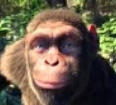 MOVED TO @icethechampion (@icetheepicone)