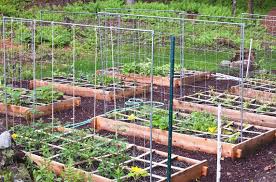 Check spelling or type a new query. Easy Edible Garden Plans Yardzen Online Landscape Design