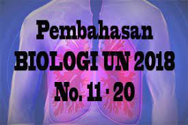 Pembahasan biologi un 2018 no 1 5. Soal Dan Pembahasan Biologi Un Sma Tahun 2018 No 11 20 J4wab