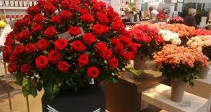 We did not find results for: Buying British Flowers All You Need To Know Countryside Online