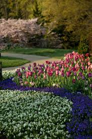 Cheekwood Botanical Gardens Museum Of Art Jardin Botanico Jardin En Balcon Nashville