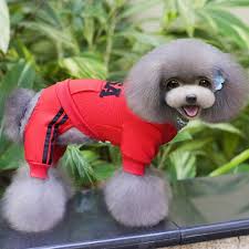 Sevimli Pet Kopek Giyim Kopek Kedi Hoodie Pamuk Ceket Dort Bacak Kazak Ceket L Oakharborchamber Org