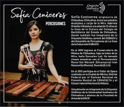 Cultuach Sofia Ceniceros Y La Osuach Ceniceros Sofia Percusiones