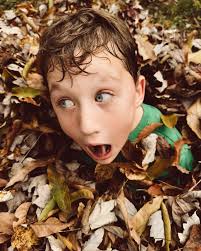 Leaf pile kind of day #autmnal