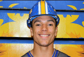 Thanks for sharing, WBBJ 7 Eyewitness News! We are so proud of our Lions!  Freed-Hardeman Athletics