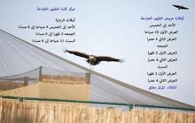 عروض حية في مركز كلباء للطيور الجارحة شبكة عيون الفجيرة