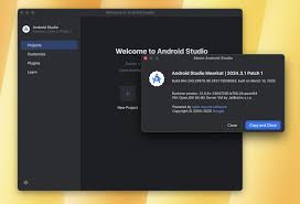 Android Studio for mac v2024.3.1.14免费版Android集成开发环境_ ...